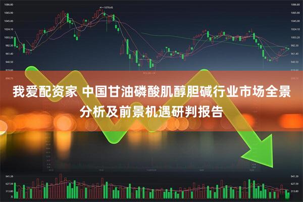我爱配资家 中国甘油磷酸肌醇胆碱行业市场全景分析及前景机遇研判报告