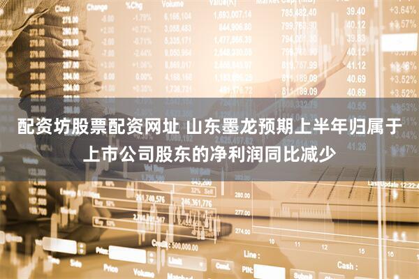 配资坊股票配资网址 山东墨龙预期上半年归属于上市公司股东的净利润同比减少