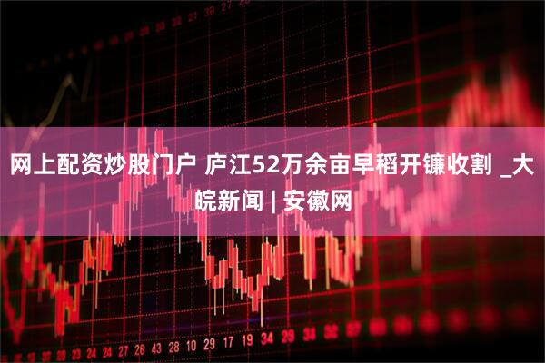 网上配资炒股门户 庐江52万余亩早稻开镰收割 _大皖新闻 | 安徽网