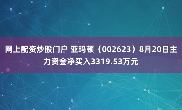 网上配资炒股门户 亚玛顿（002623）8月20日主力资金净买入3319.53万元