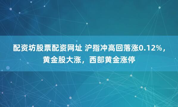 配资坊股票配资网址 沪指冲高回落涨0.12%,黄金股大涨,西部黄金涨停